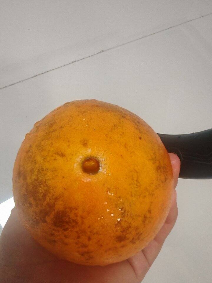 给你们切一个花皮脐橙看一看