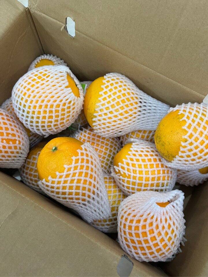 🐰 云端家脐橙第二箱！