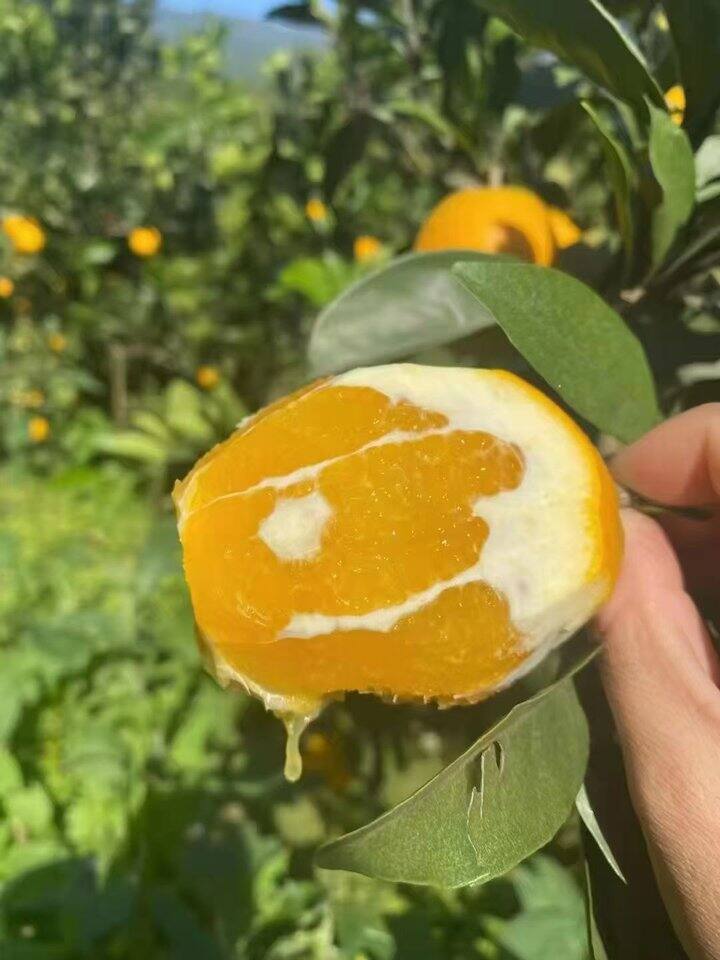 12🈷️1日的订单总算整理好啦！