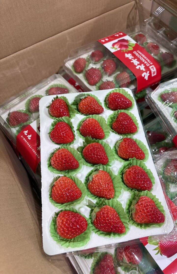 丹东草莓🍓89五盒 酸甜有味儿