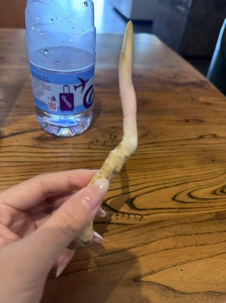 炮制的本质不是为了提高什么多糖