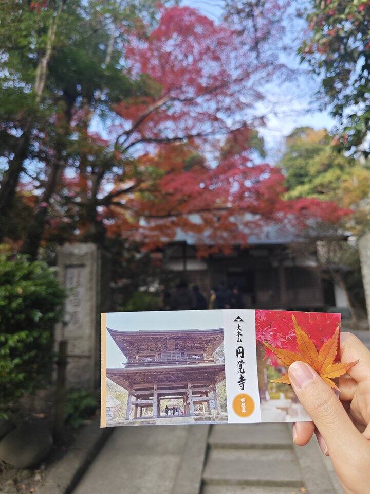 北镰仓➕江之岛