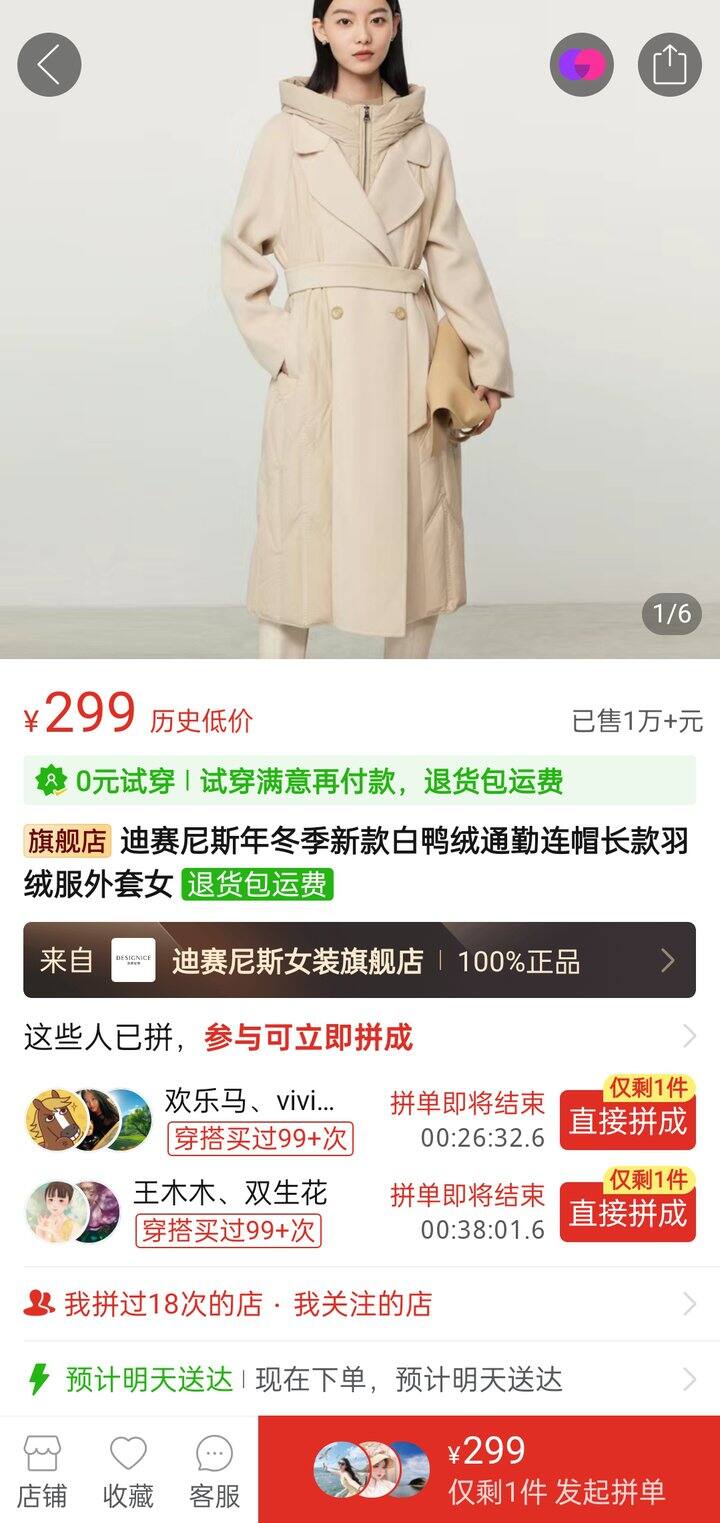 迪赛尼斯羽绒服
