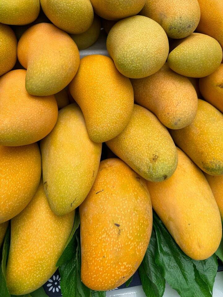 出芒果会员，双十一买的。有意私聊