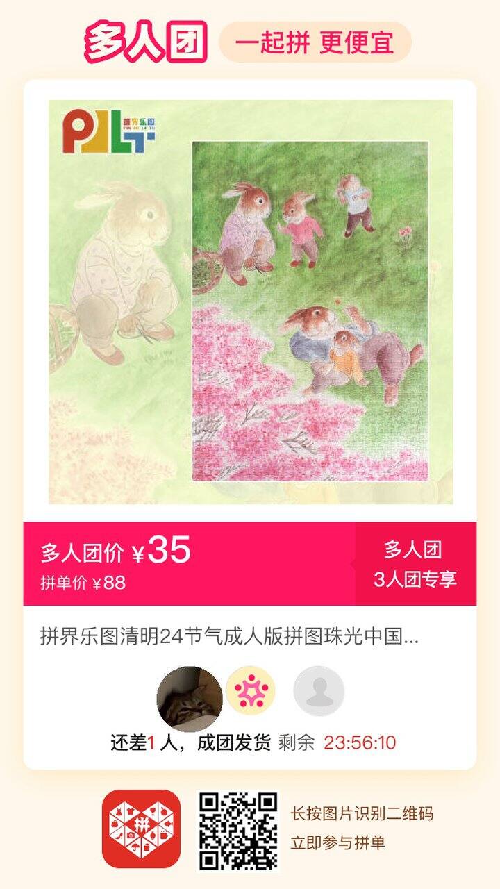 有没有拼团拼图🧩的姐妹