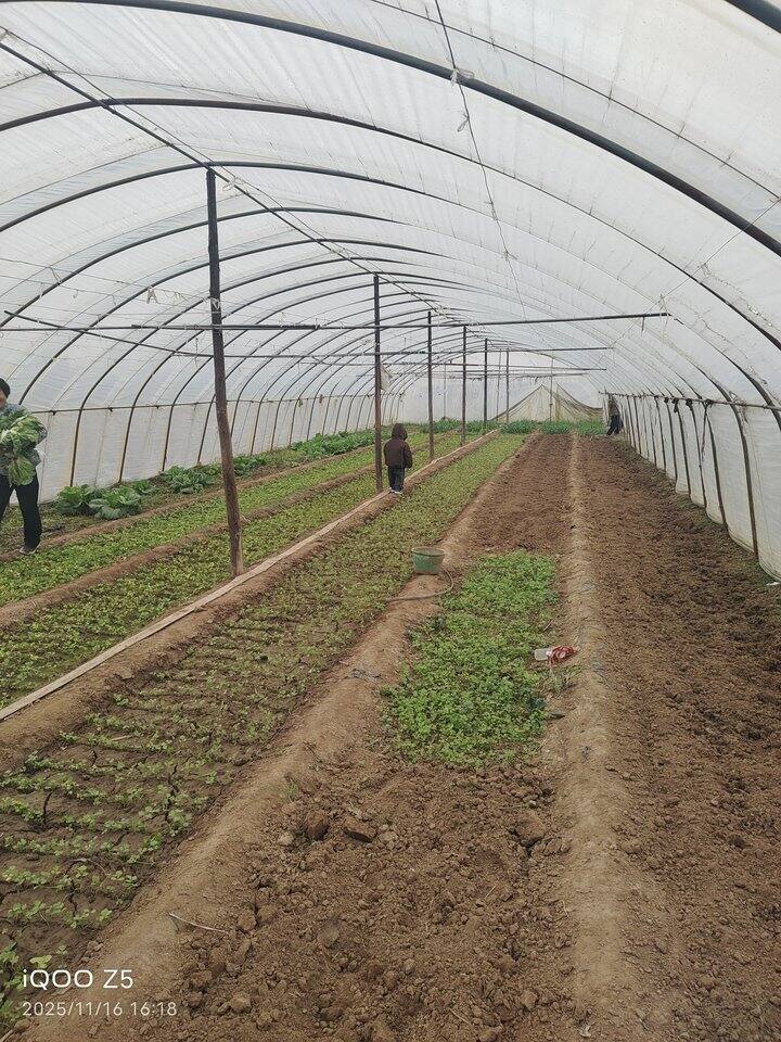 妈妈款的帽子有推荐吗