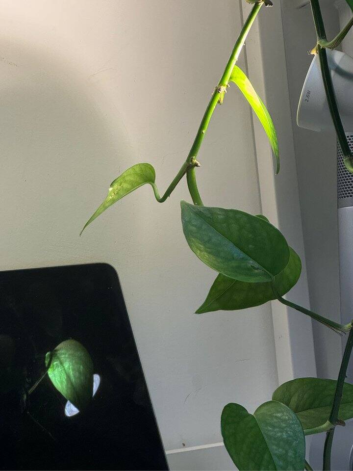 喜欢的衣服不要放在暖气片上烤