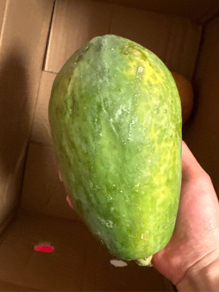 近期跟路口团团买的水果们