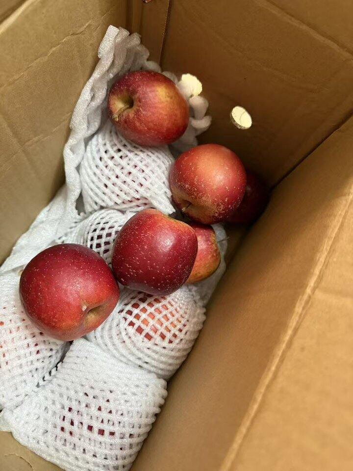 惊喜的苹果