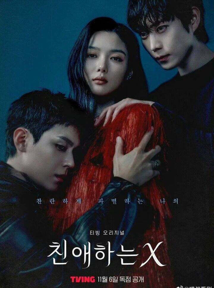 韩剧:《亲爱的 X》2025  豆瓣7.8