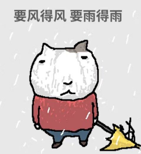 姐妹们，是我太不懂事了吗？