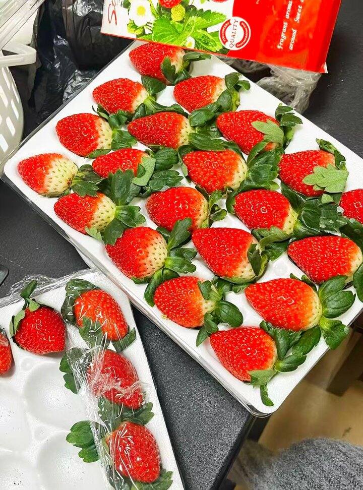 四川大凉山红颜草莓！💰18