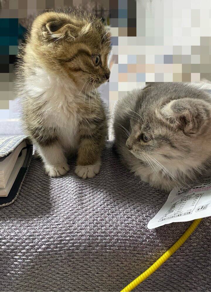 一碗水真端不平