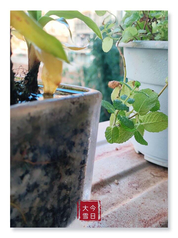 节气小编上线～