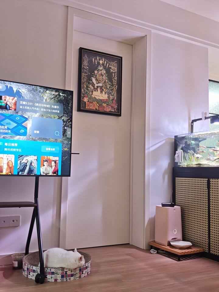 节日氛围加载中