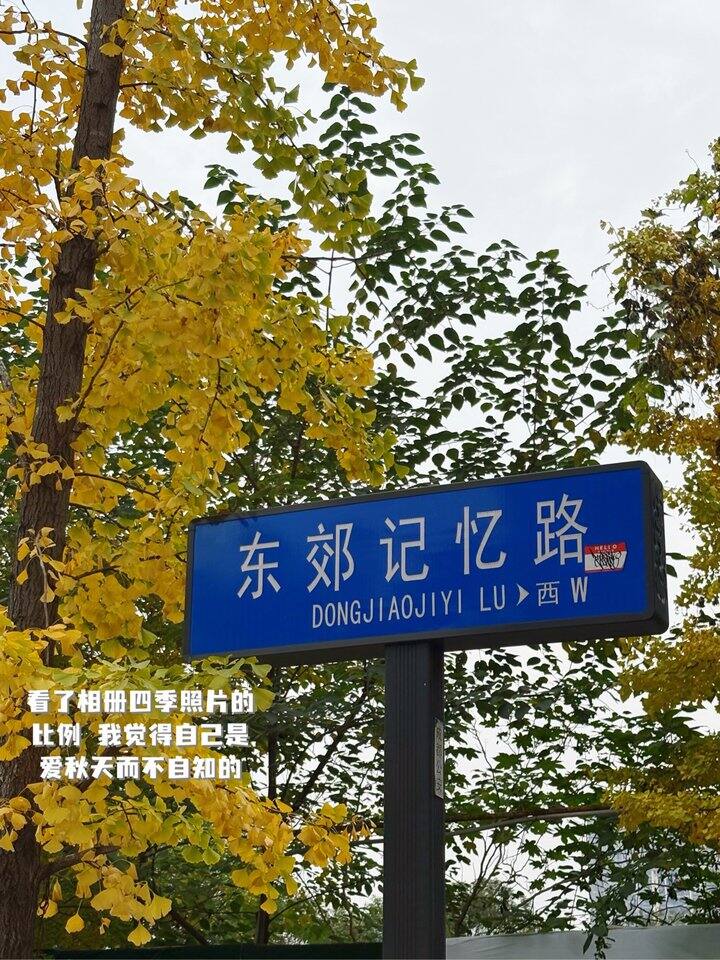 成都🧘巨大的疗愈场🧘西南F4