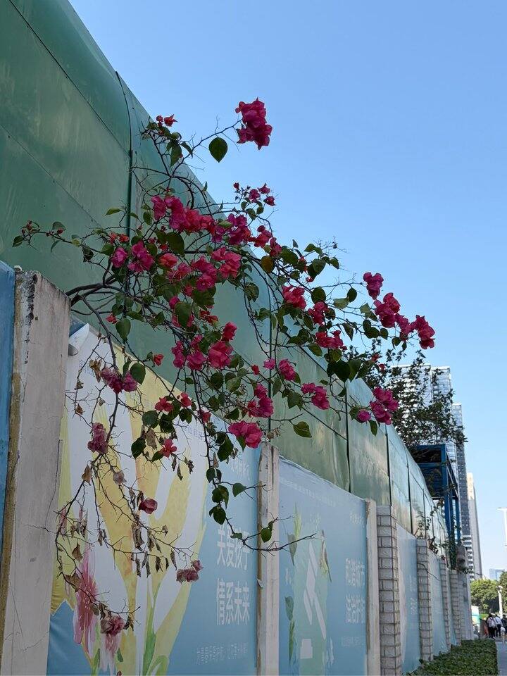 深圳的姐妹们收餐饮票