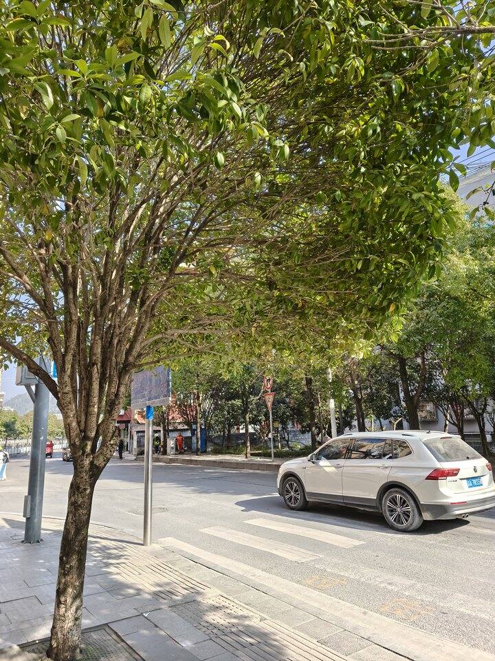 为啥才看到路口的私信啊啊啊啊啊啊啊啊错过太多了