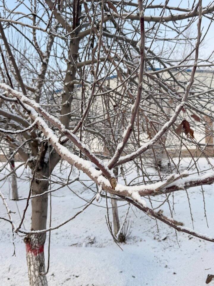 去赛里木湖的路上