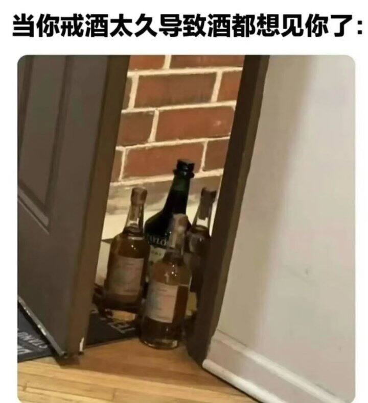 “当你戒酒太久导致酒都想见你”