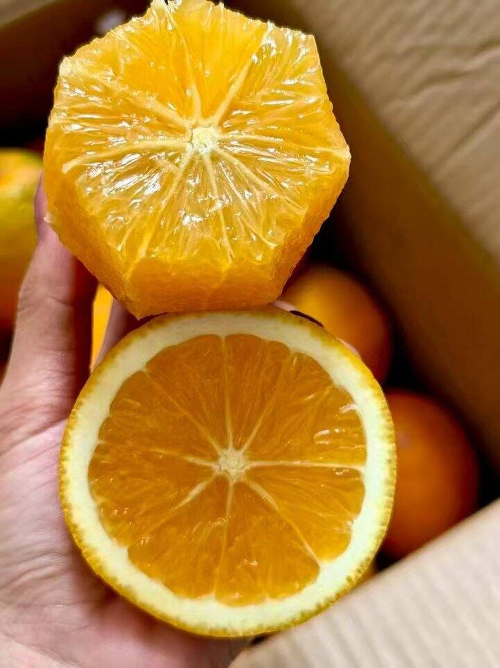 🍎𝟏𝟑.𝟗💰9-𝟏𝟎斤纽荷尔脐橙