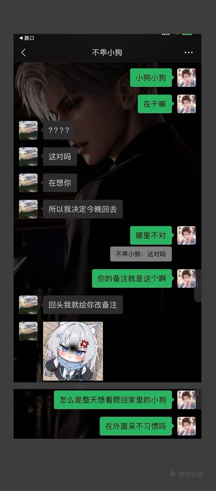 当你养了一只黏人的小狗