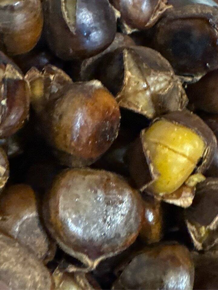 这个栗子便宜又好吃