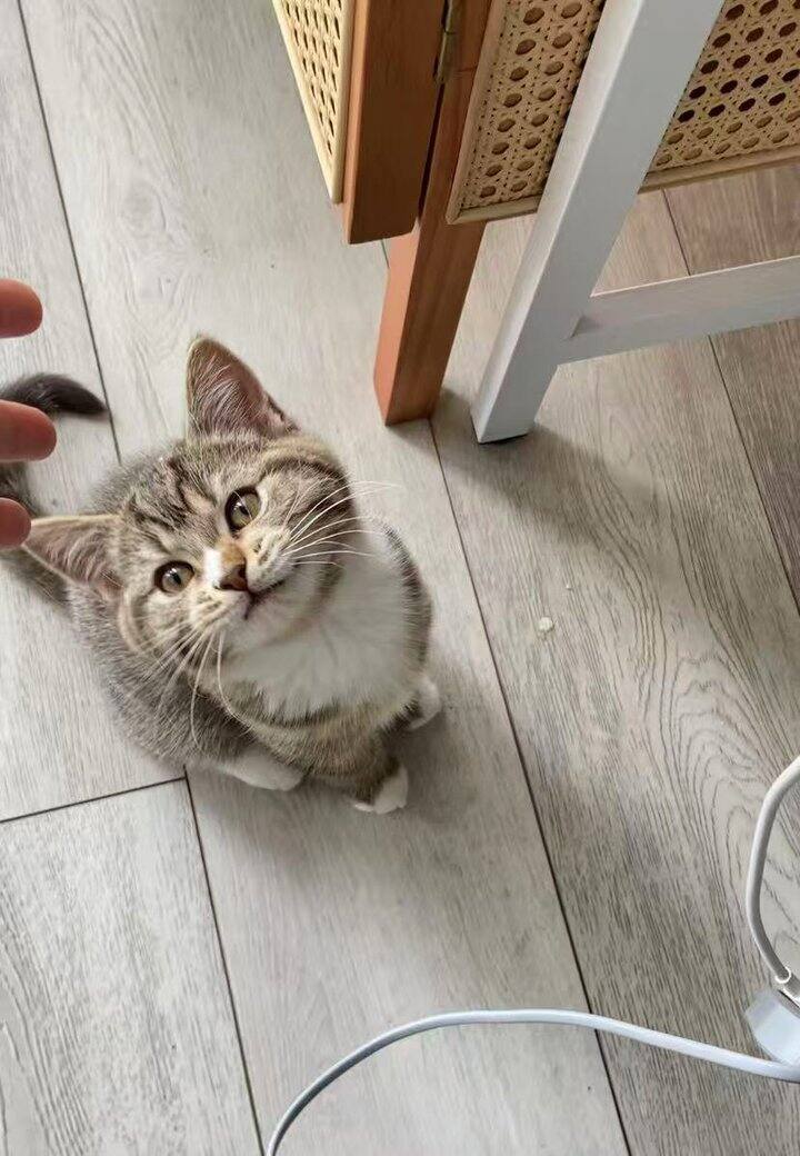 一天比一天圆润