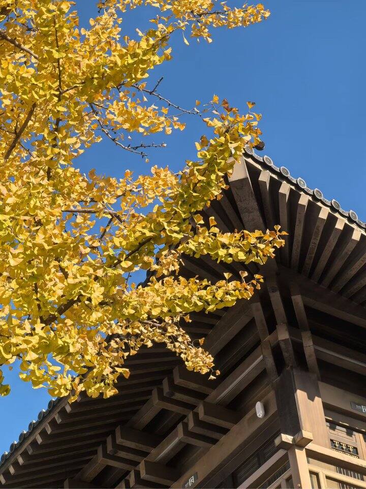 只有我上班上的没有欲望吗