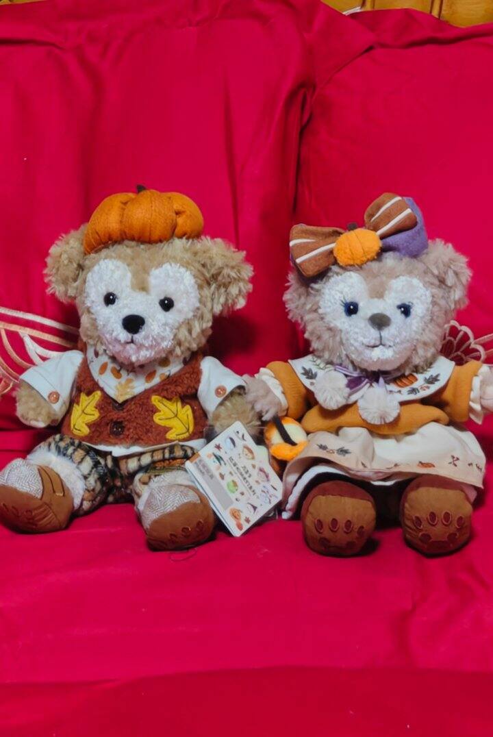 新婚礼物 达菲和雪莉玫压床 大疆action