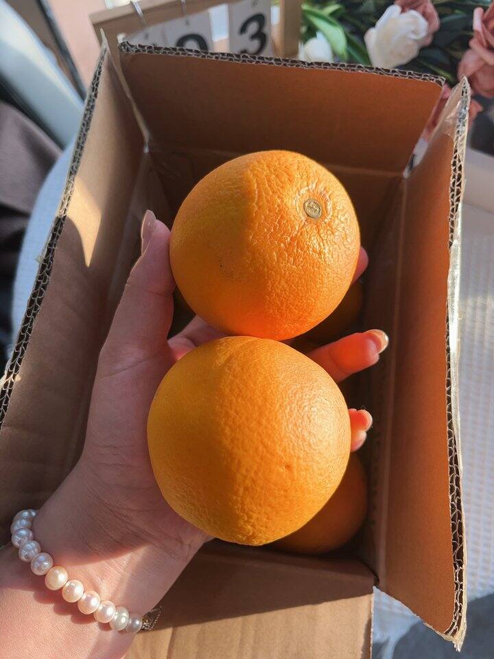 自营血橙🍊