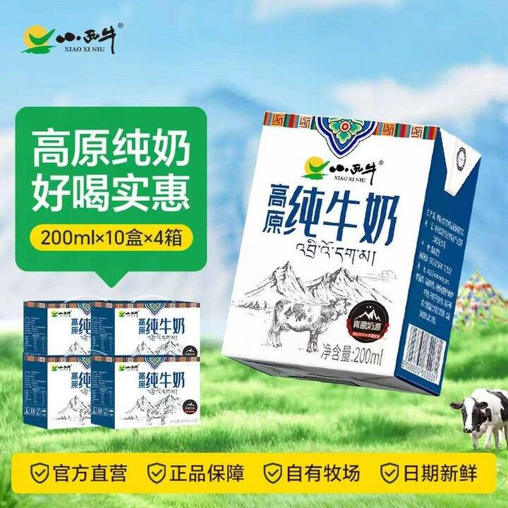 小西牛💰16，高原奶！