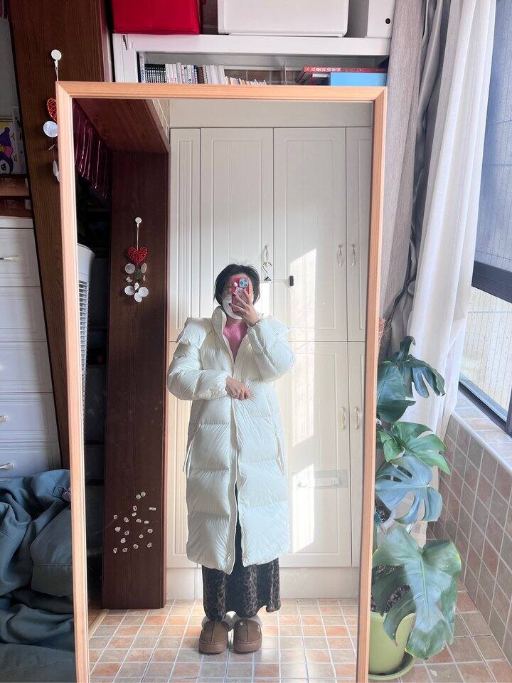 去年买的迪赛尼斯