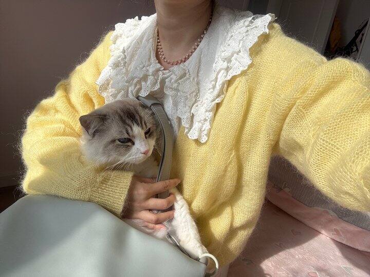 舔狗舔到最后一无所有