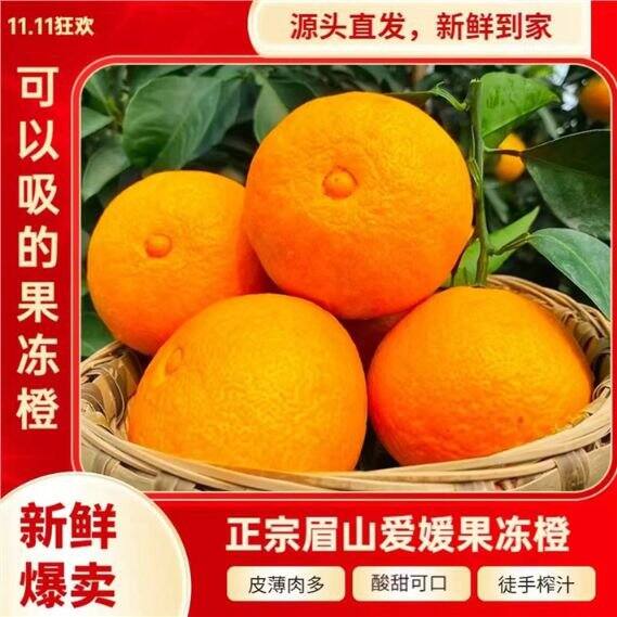 17.9，鲜仑 爱媛38号果冻橙 大果 净重5斤