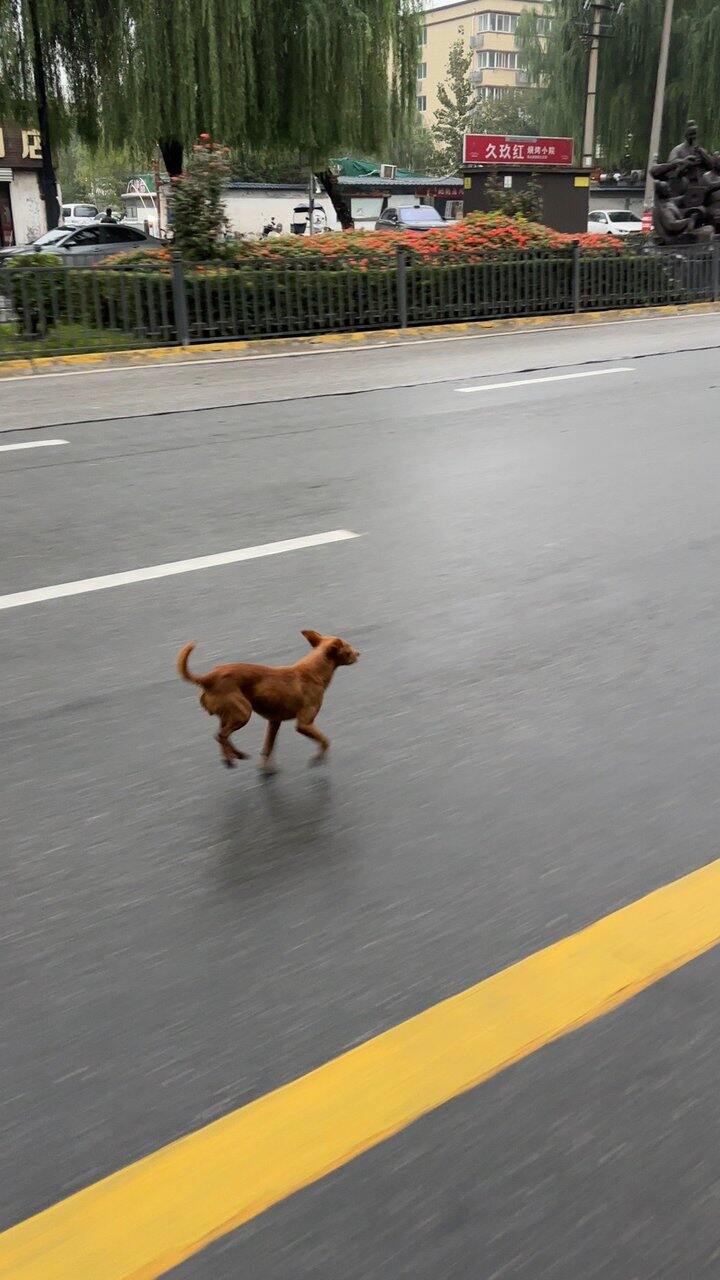 哭了，闯了个大祸