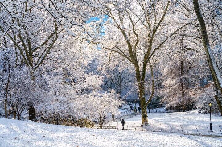利用晚上孩子睡着后的时间可以在站上刷的有意思的小课