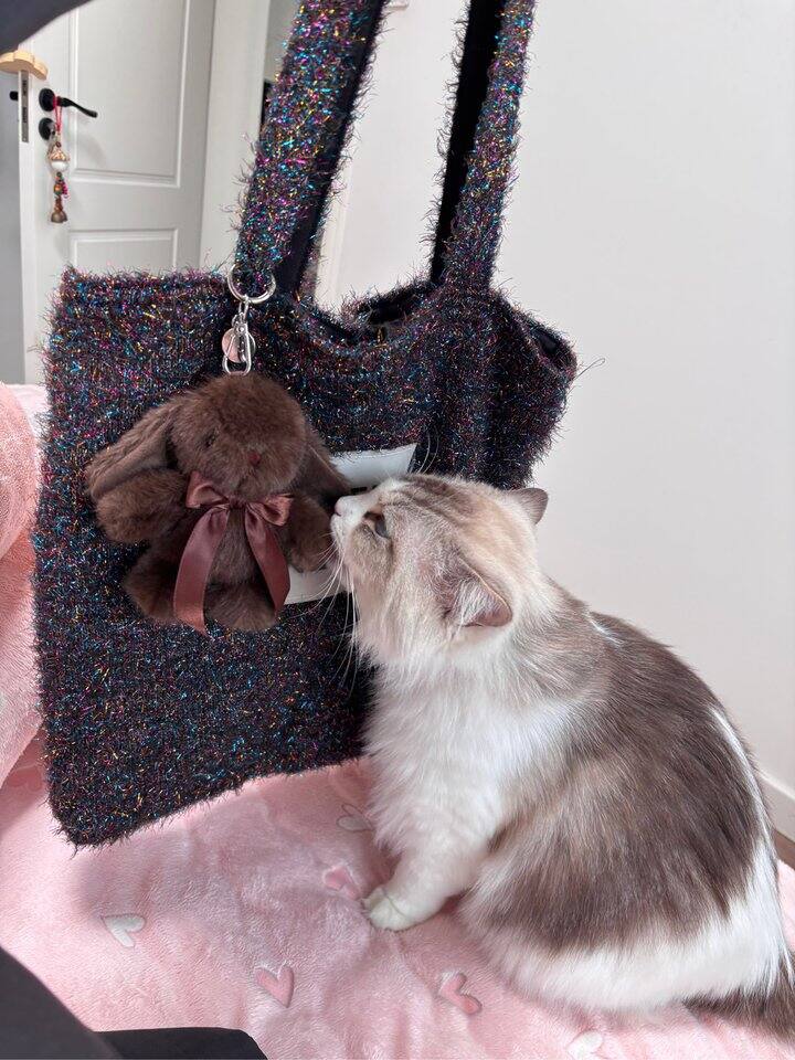 小宝跟大老鼠呢