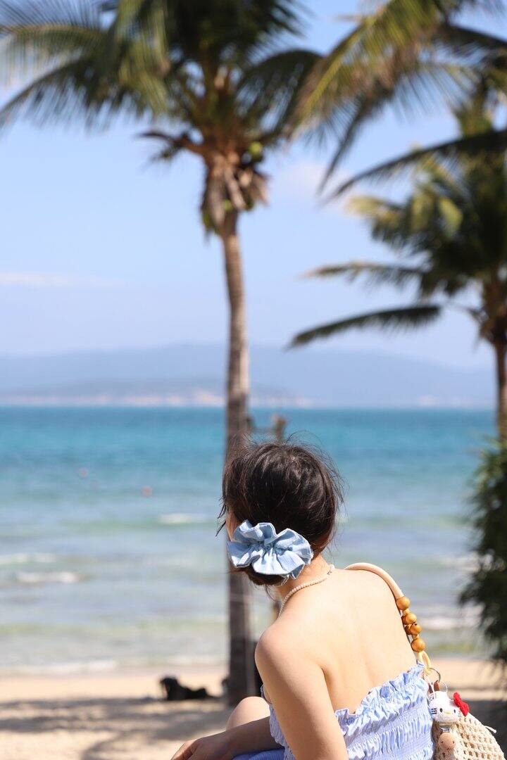 推荐这个兰诺这个蓝色发圈