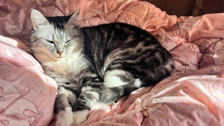 欢迎光临 我的世界