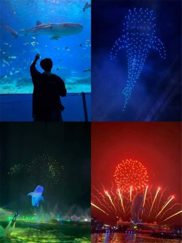 双人两天海洋王国门票💰1538