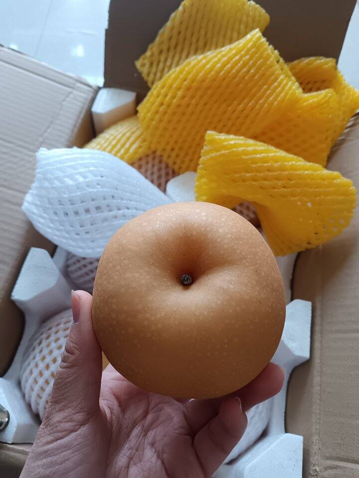 京东生鲜｜八斤19.9的秋月梨