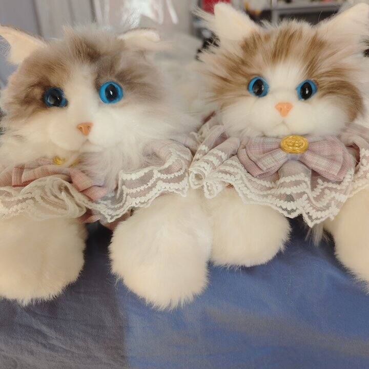 上条的仿真猫咪包晒单