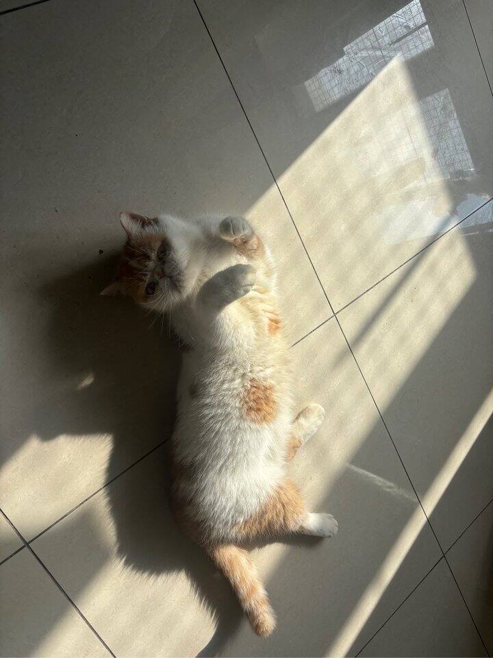 我一直在对抗无价值感