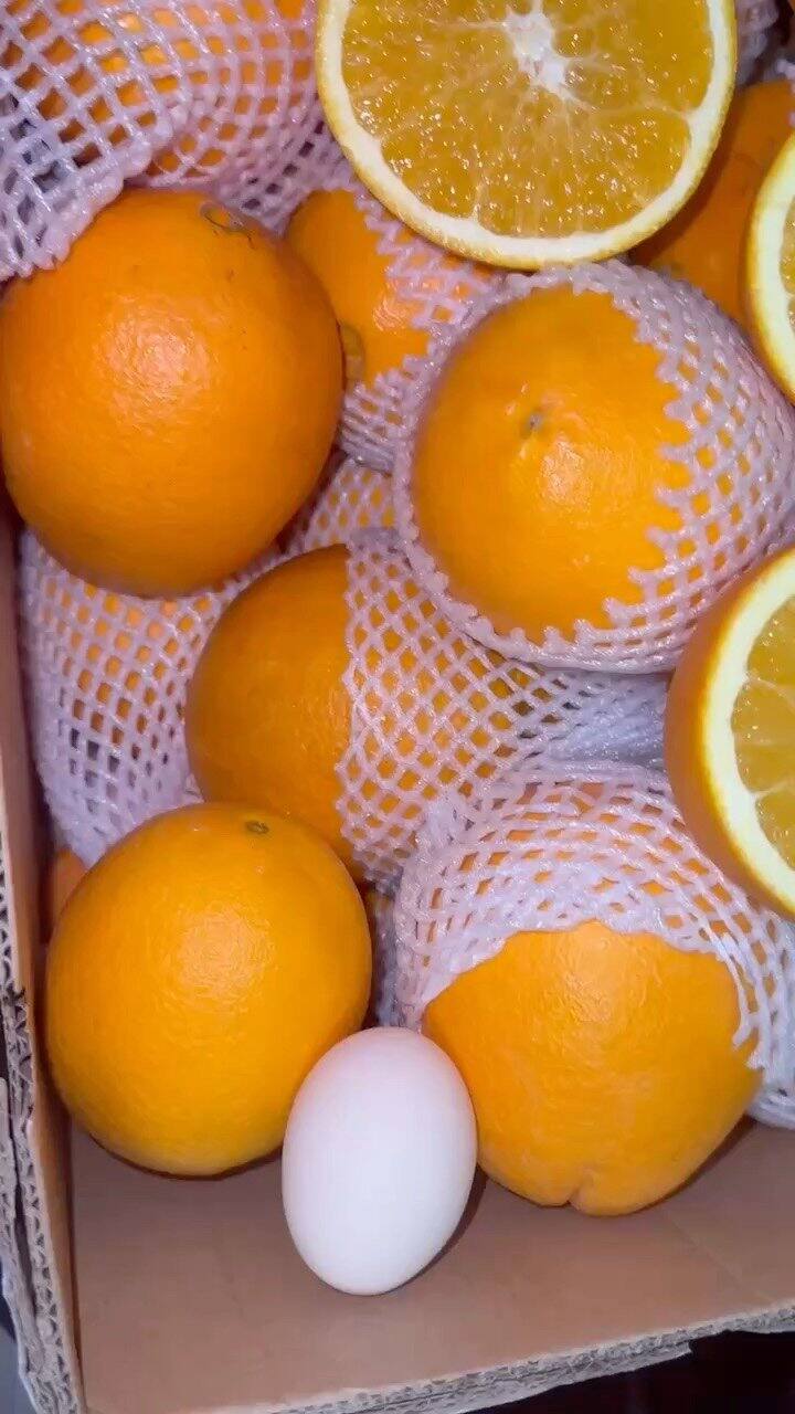 榨汁橙开箱🍊