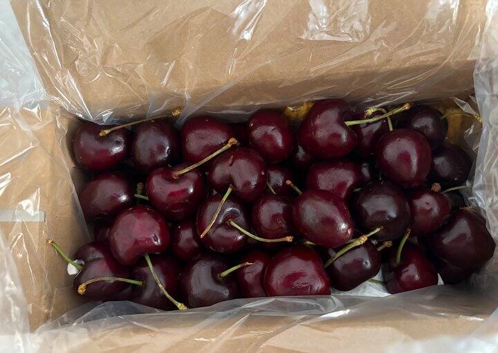 车库子实拍返图（供大家参考）