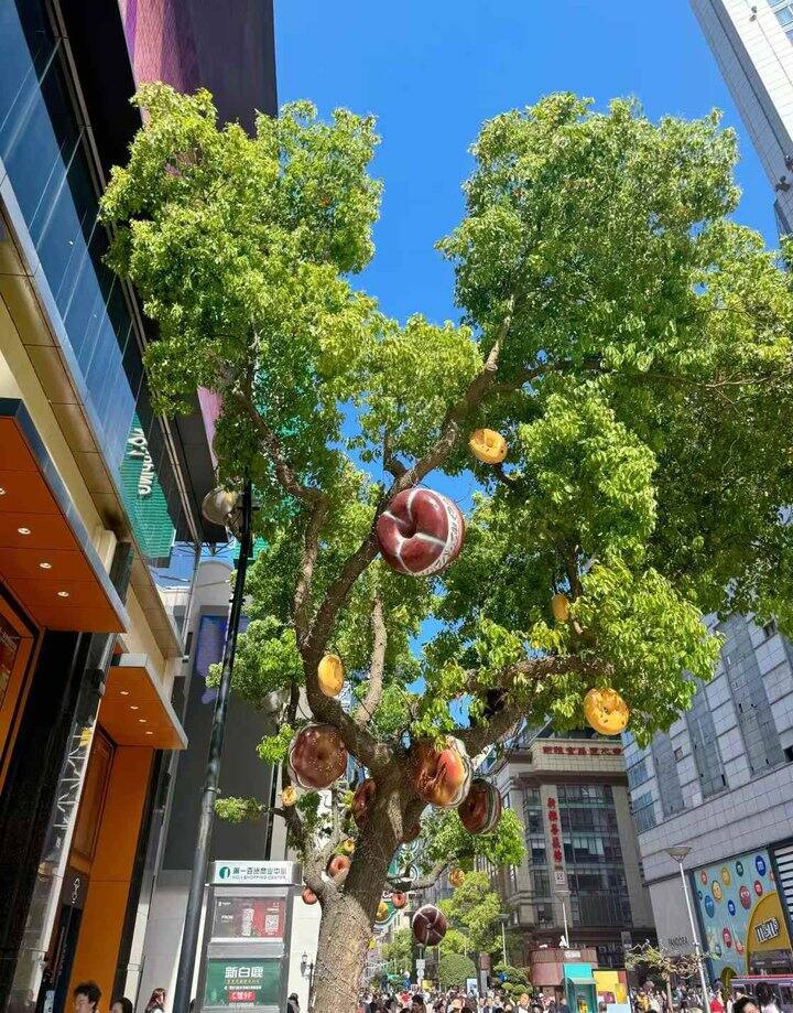 2025年的出游总结