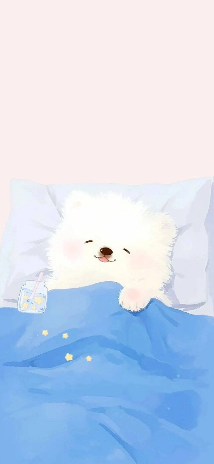 出88vip会员权益