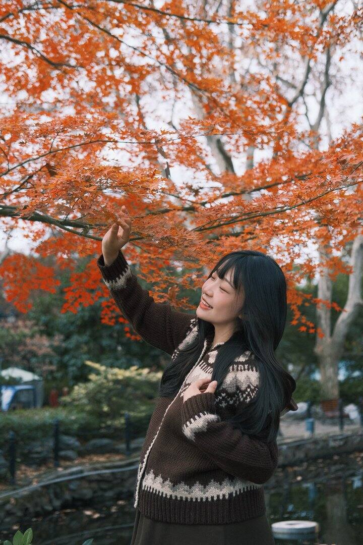 橙红橘绿五彩斑斓🍁