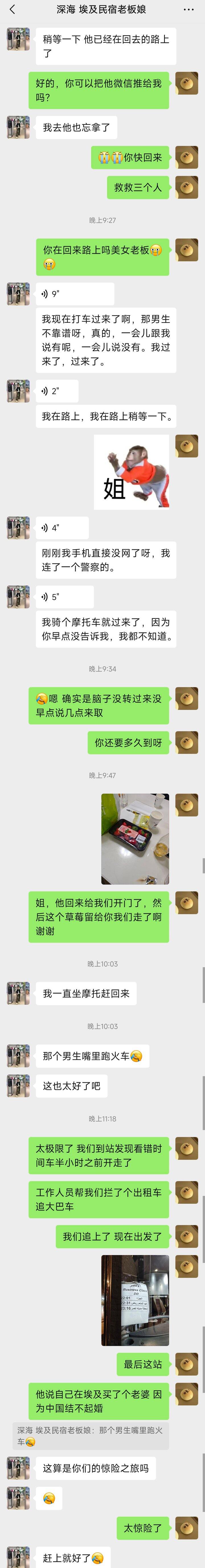 开罗惊险追大巴